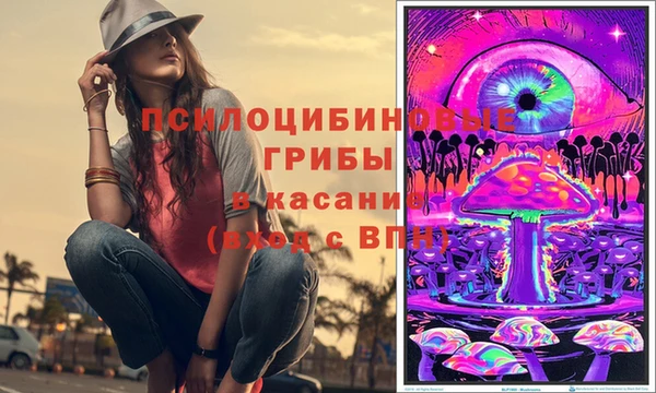 PSILOCYBIN Вязьма