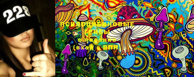 Псилоцибиновые грибы Cubensis  Мегион 